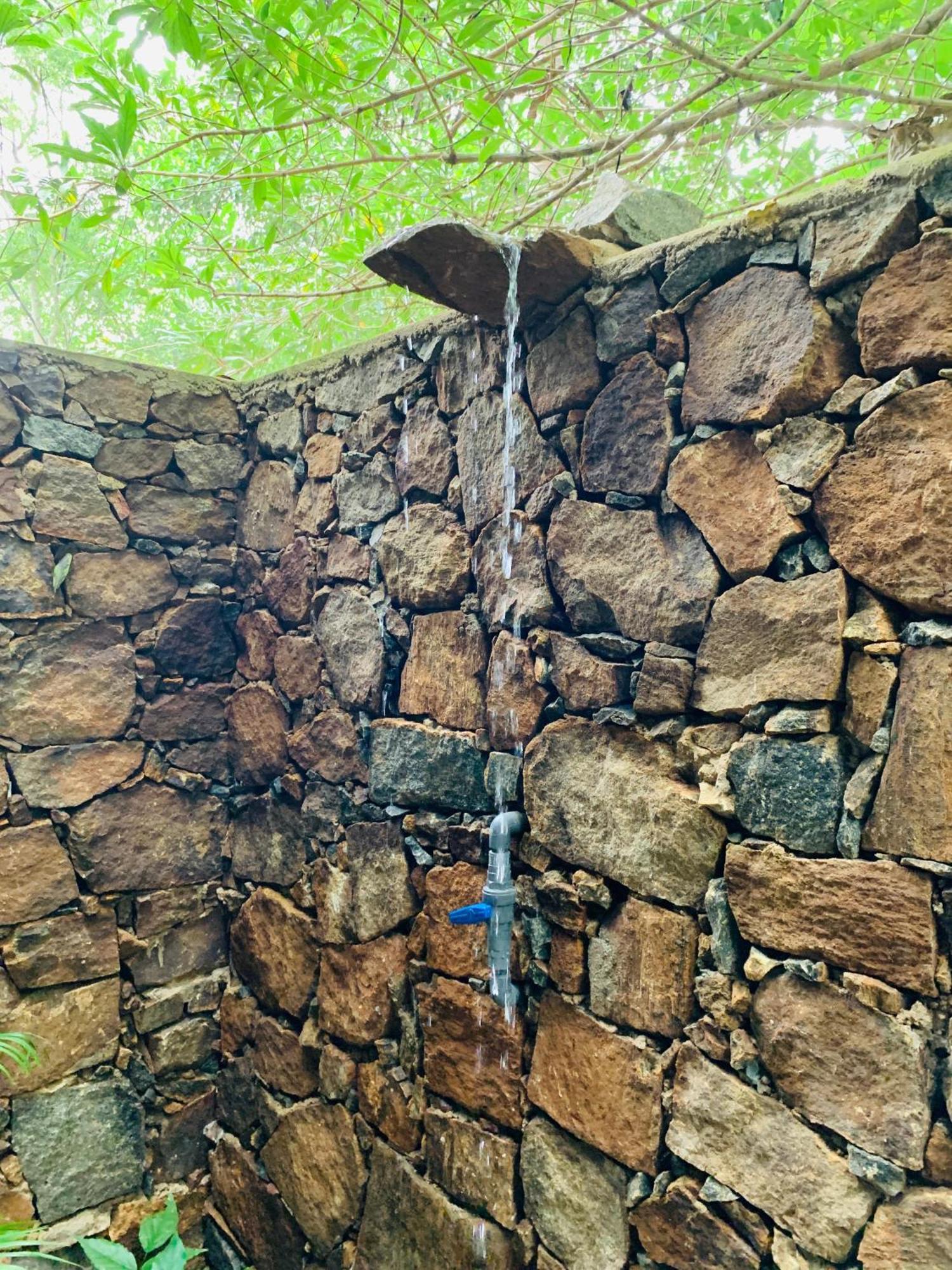 Nature World אודוואלאווה מראה חיצוני תמונה