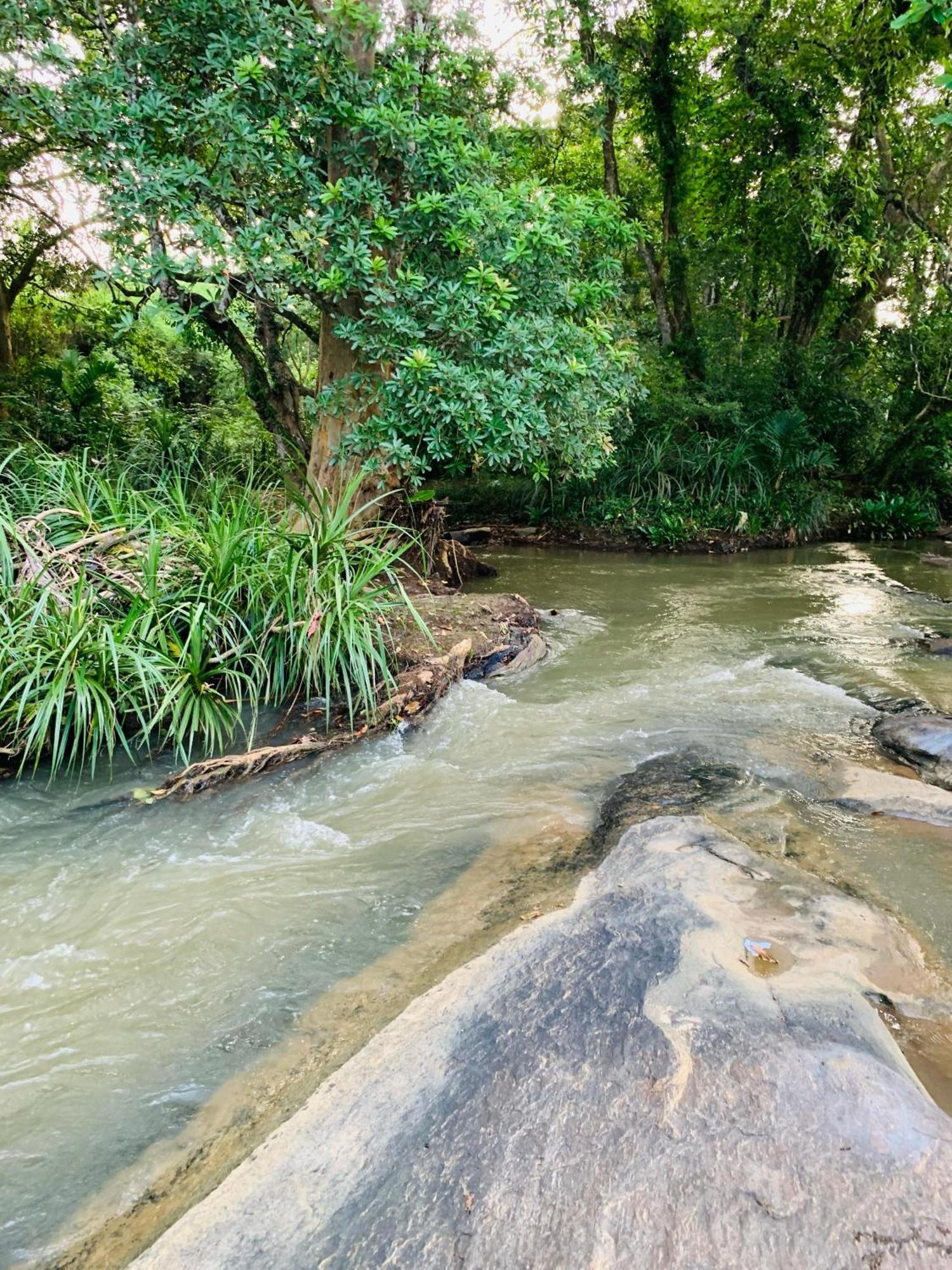 Nature World אודוואלאווה מראה חיצוני תמונה